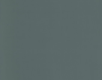 [200111122_73] Taralay Impression Compact - 1079 Uni Matt Dark Green